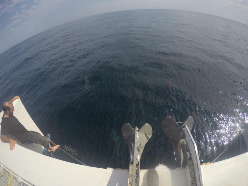 DCIM100GOPROGOPR0869.