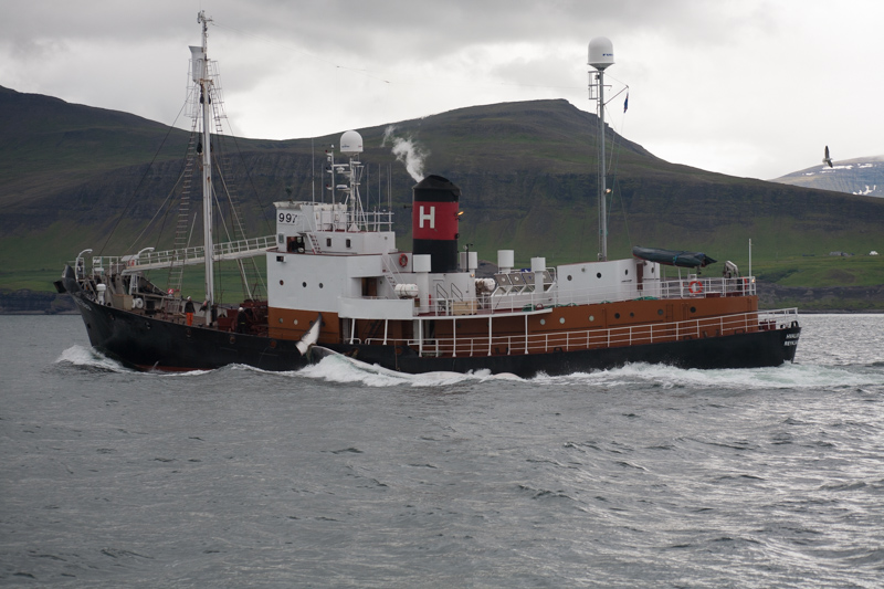 hvalur-9-baleine-tuee-30